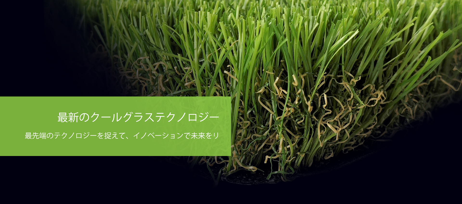 日2Cool Grass